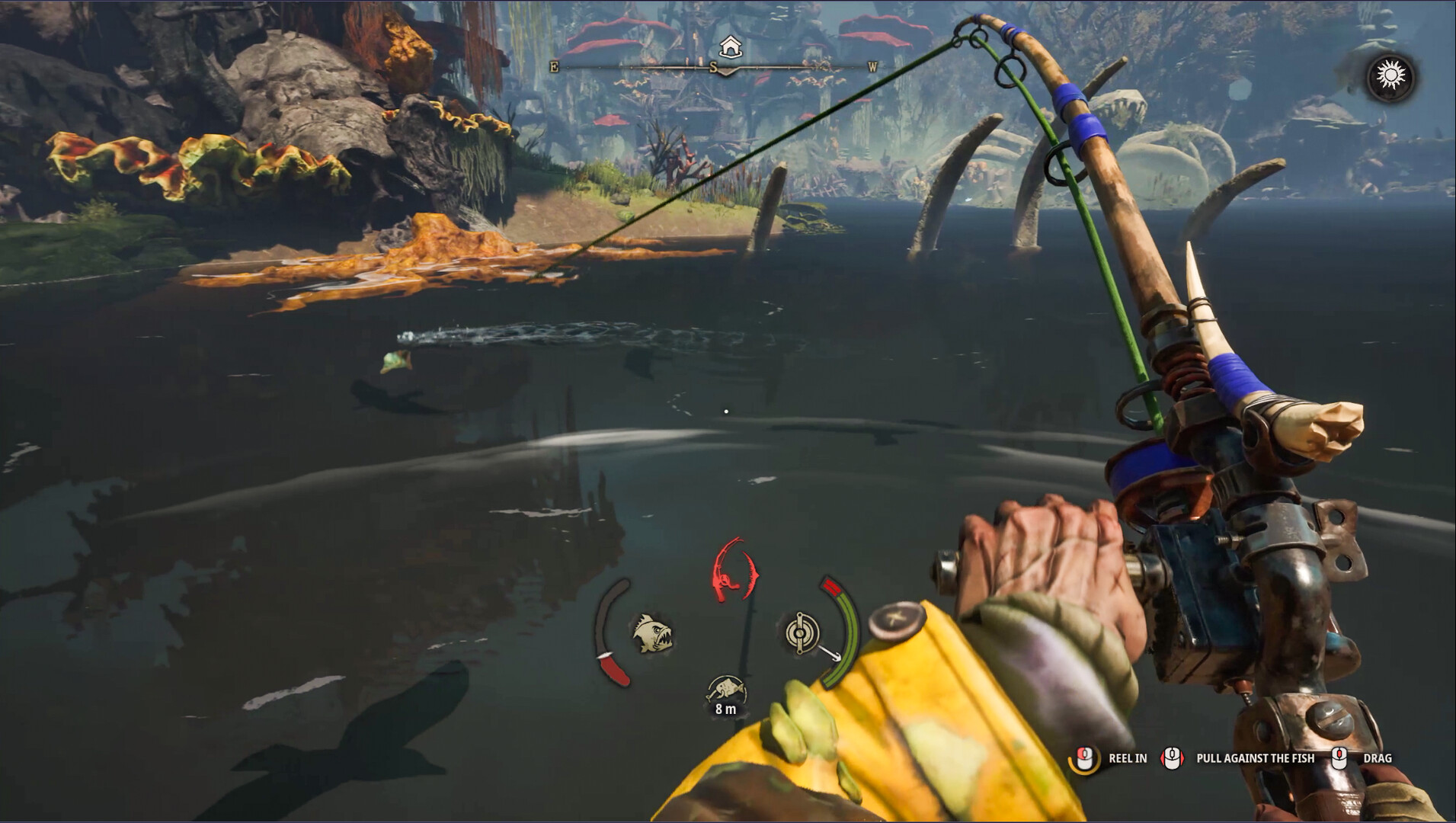 Fishing & Bait Guide